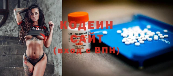 сатива Арсеньев