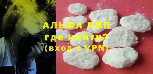 сатива Арсеньев