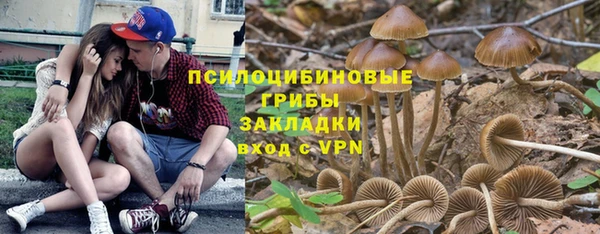 сатива Арсеньев