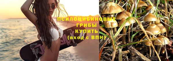 a pvp Аркадак