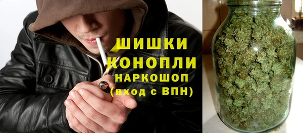 сатива Арсеньев